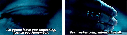 tumblr_nbv0utR6yS1qffym9o10_500